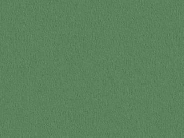 Preview: Modena 4J35 wiese – rechteckige Draufsicht auf wiesengrünen Veloursboden als Meterware